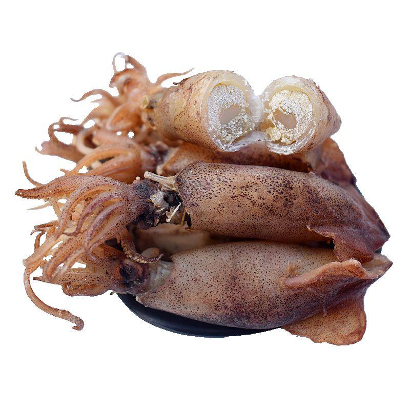 满籽乌干籽乌500g包邮全海兔新鲜笔管墨鱼鱿鱼墨鱼干