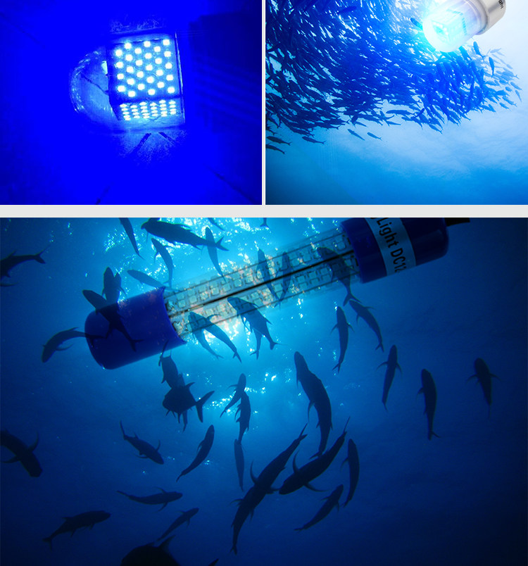 鱼灯12v绿蓝色光led水下钓鱼灯诱捕鱼灯集钓鱼灯