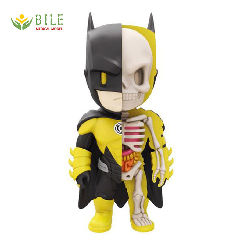 4dxxray黄灯蝙蝠侠mightyjaxxjasonfreeny解剖卡通其他模型玩具