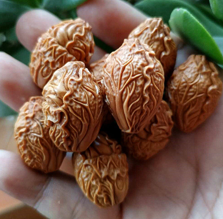 橄榄核手串白菜核雕百财招财苏工纯手工工大文玩手链