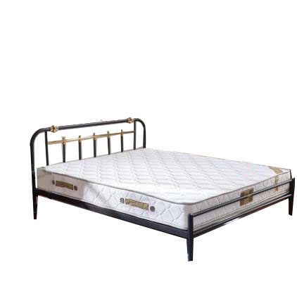 钢管正品天坛家具金属铁艺双人公主铁床18米铁艺