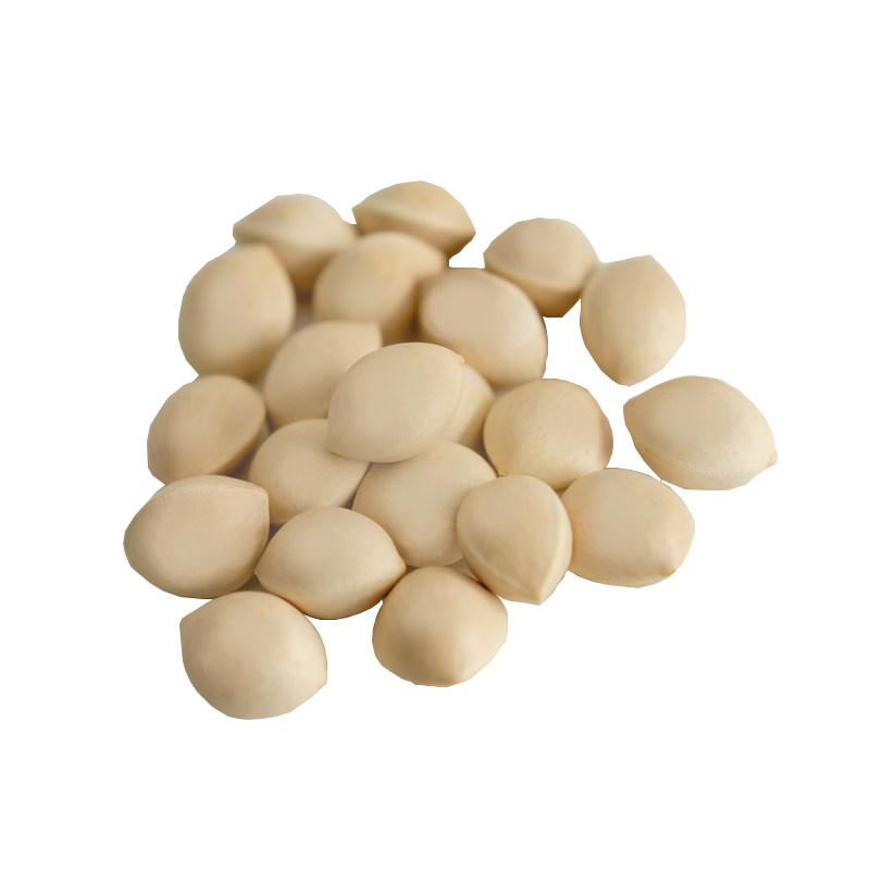 银杏白果果子白果子仁生开心保鲜包邮农家干货白果