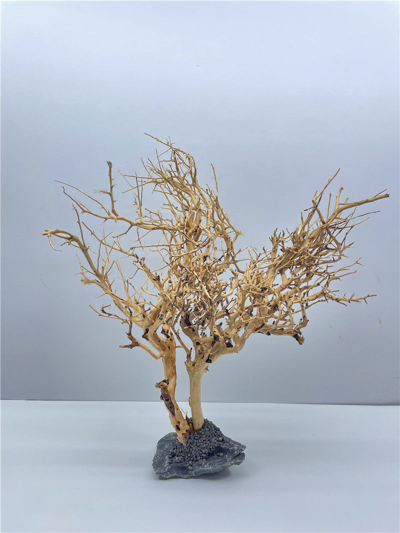 泰国沉木树泰巴西水草鱼缸造景装饰杜鹃造景