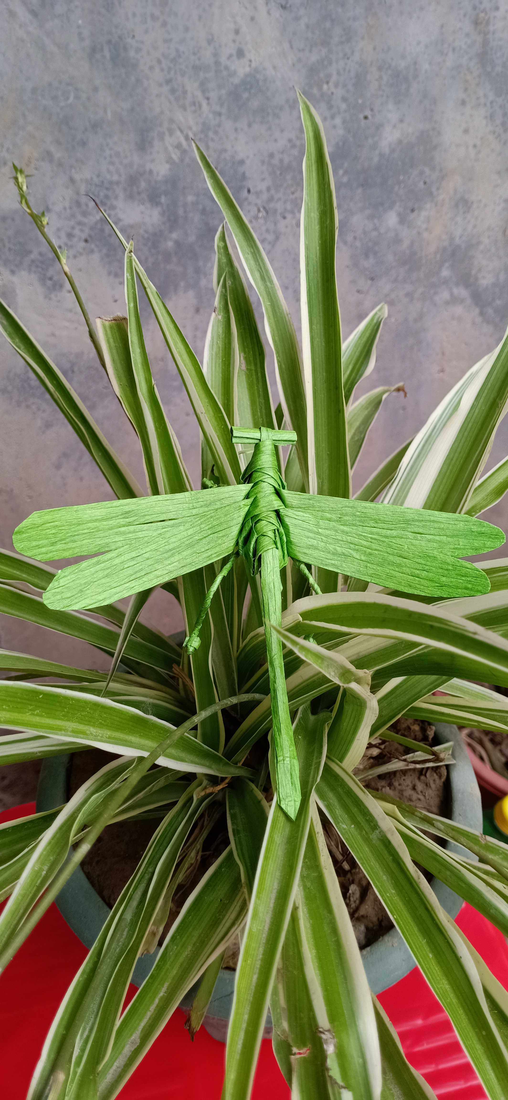 草编昆虫蜻蜓手工艺dlv儿童玩具创意摆件民间编制摆件