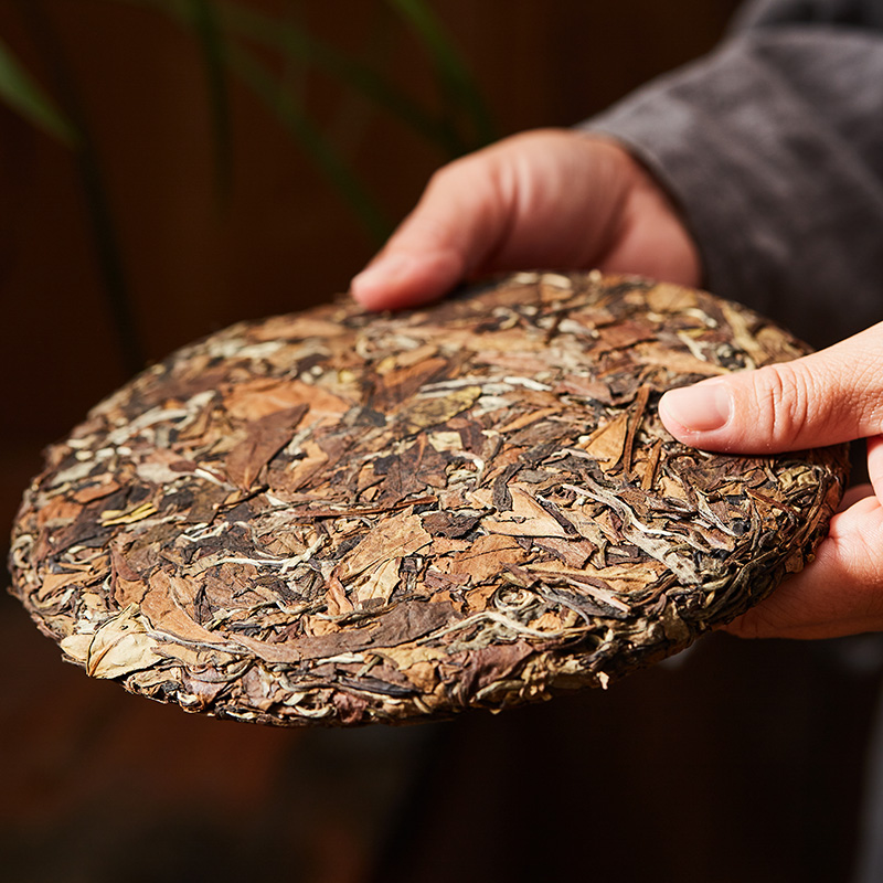 聚白白茶贡白茶福鼎香味茶饼年老陈年老2006年镇店之宝贡眉