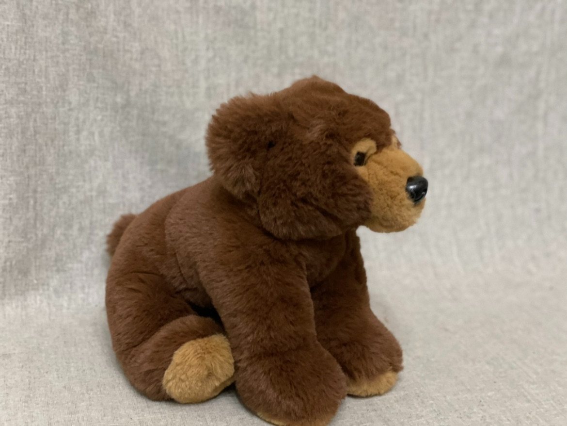 外贸出口原单老货28cm棕熊样板毛绒玩具可爱公仔收藏儿童礼物