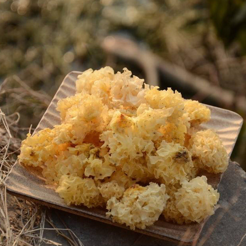 神农架野生椴木银耳野耳正宗干货土特产小白木耳雪耳通江100g包邮