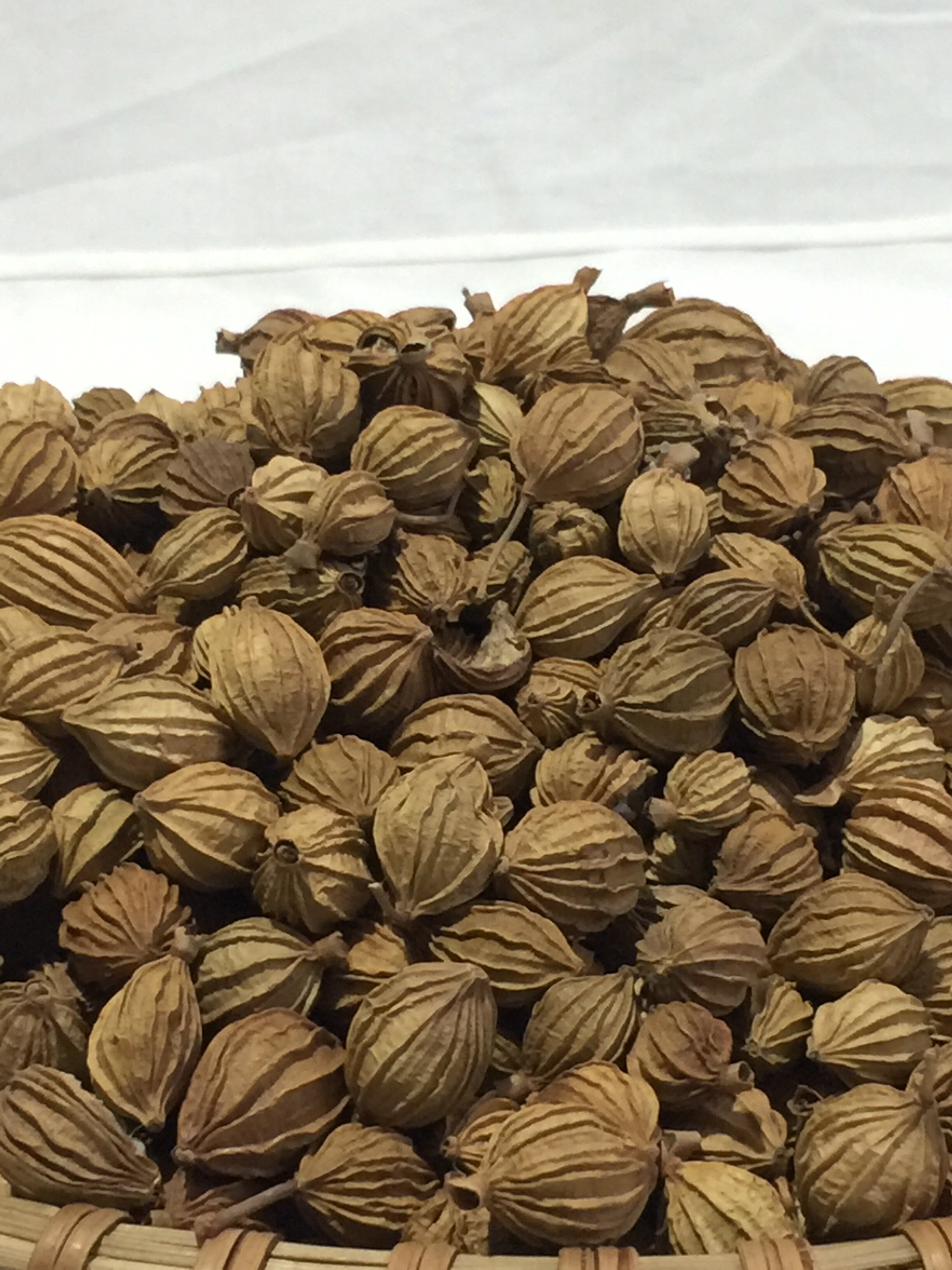 四川香砂克金砂仁沙仁香料卤料包花椒