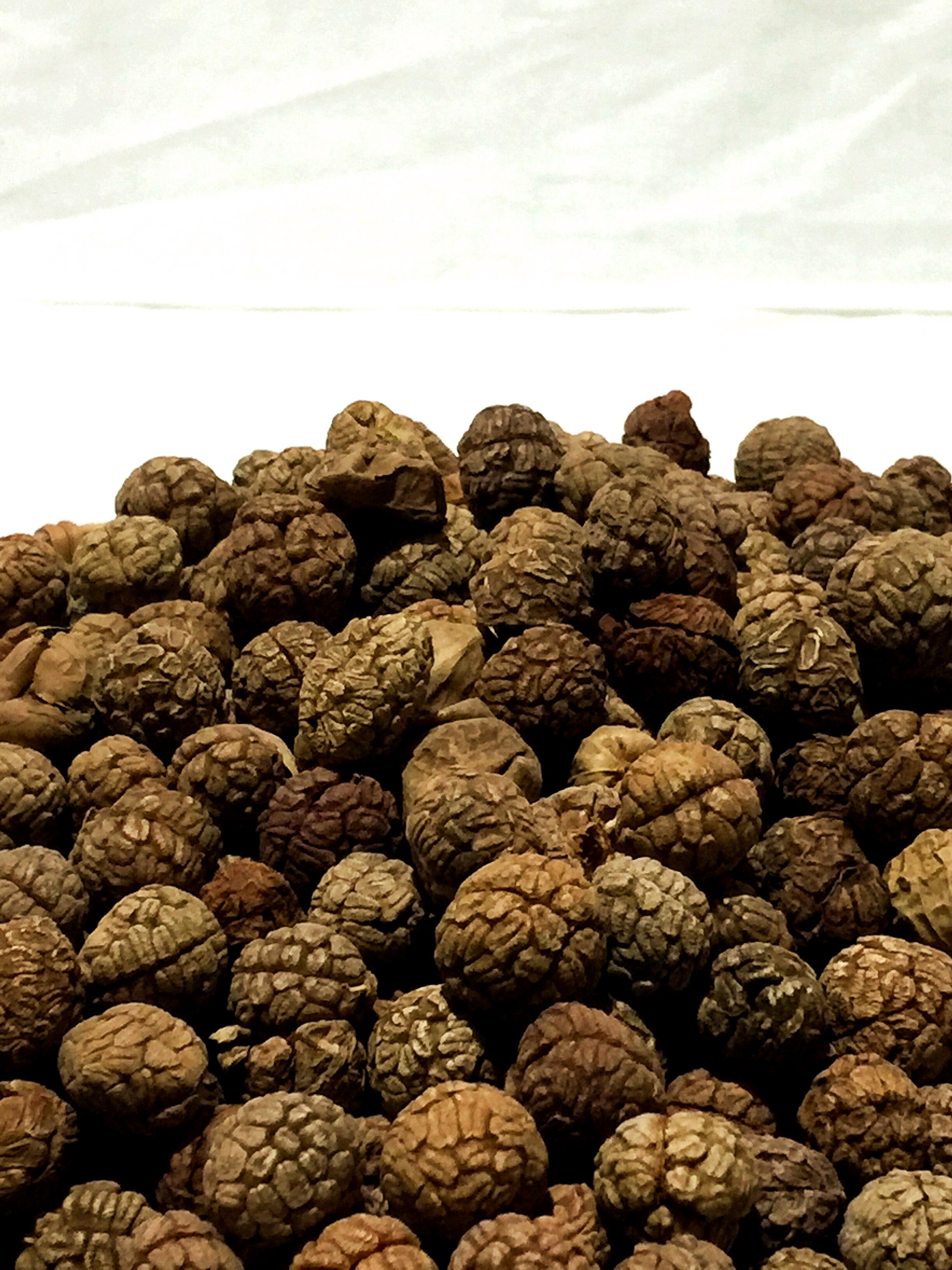 草蔻草寇草扣豆蔻老蔻老扣老寇500g香料调料花椒