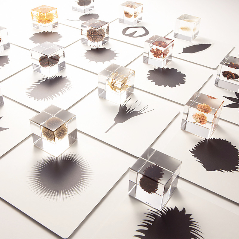 solacube匠人手工制植物标本宇宙立方日本创意摆件