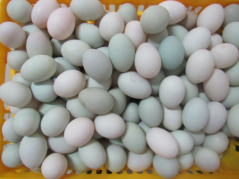 钦州食用农产品茅尾海散养正宗绿皮海鸭蛋新鲜鸭蛋30枚装包邮 - 钦州