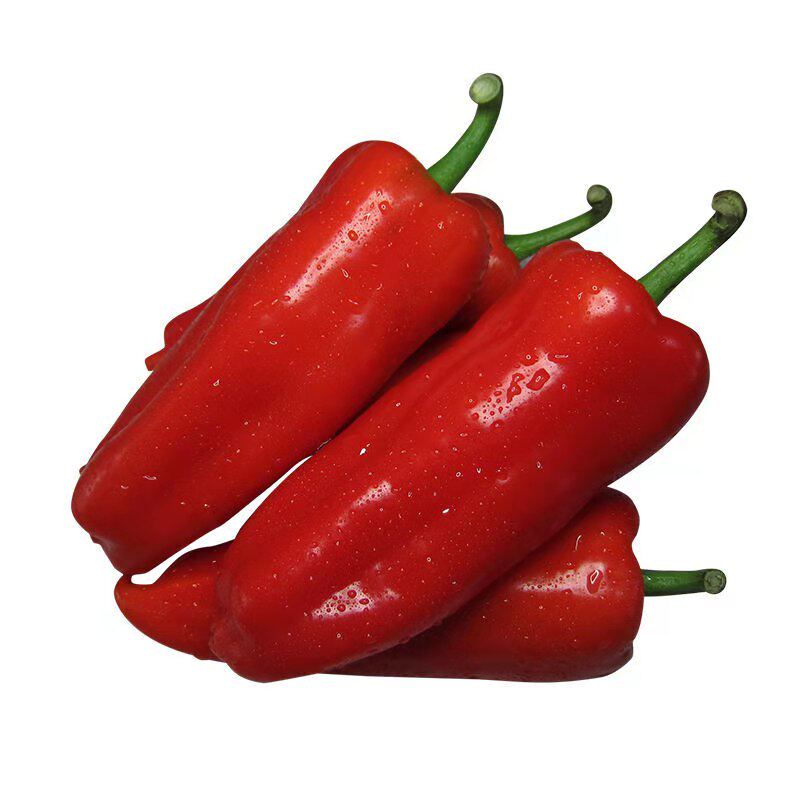 现摘辣椒农家新鲜大红红辣椒尖椒5斤红土辣椒酱辣椒