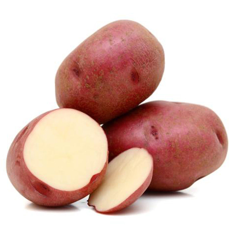 新鲜云南红皮土豆500g农家种植当季食用大个土豆