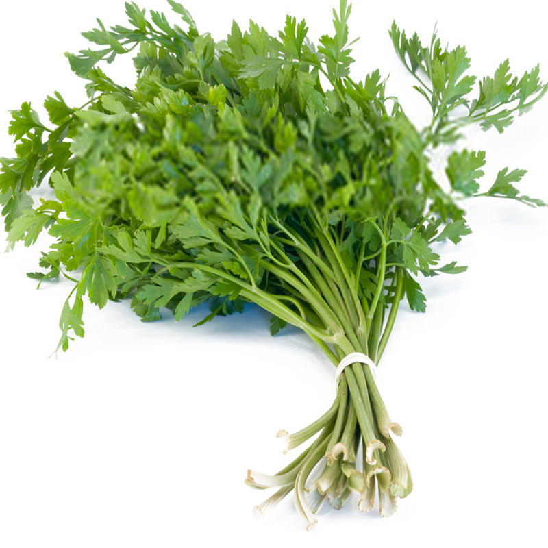 新鲜意大利芹菜欧芹香芹250g西餐parsley平叶巴西利其它