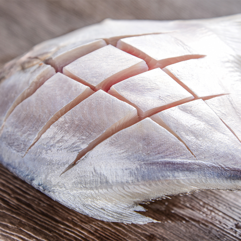 鲳鱼胶东海鲜海鳊鱼冷冻鲜活昌鱼白鲳鱼海鱼新鲜鲳鱼