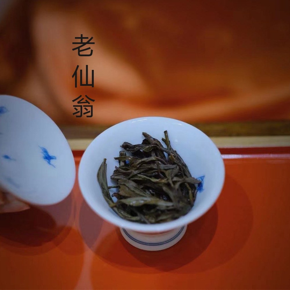 凤凰单丛礼盒茶叶潮州老树茶老仙翁125g凤凰单丛
