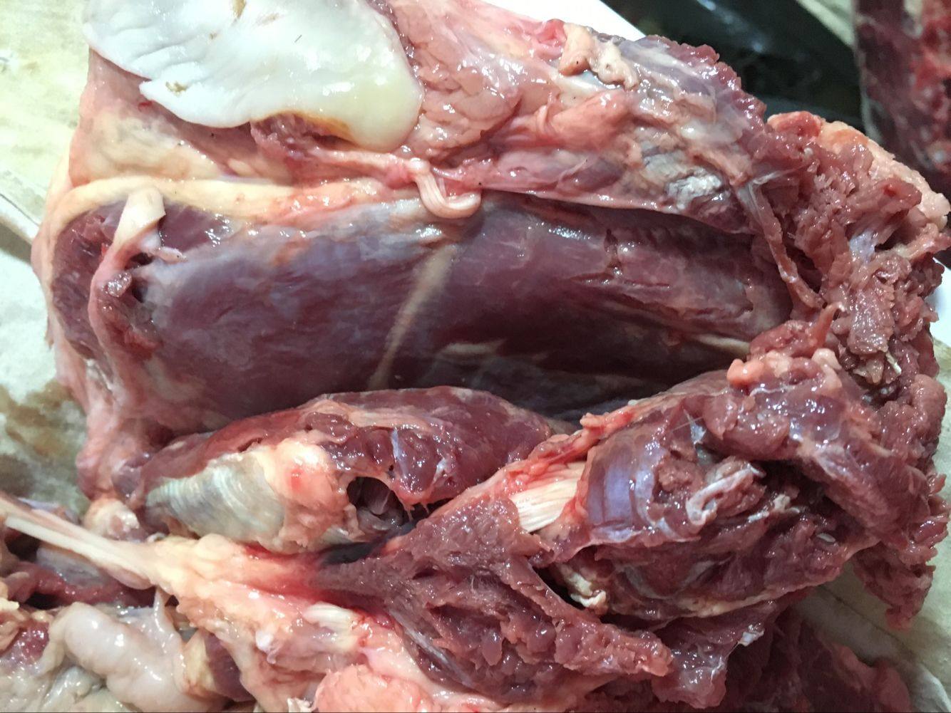 驴脸头脸肉带皮带嘴带舌头11斤驴头驴嘴骨头驴肉