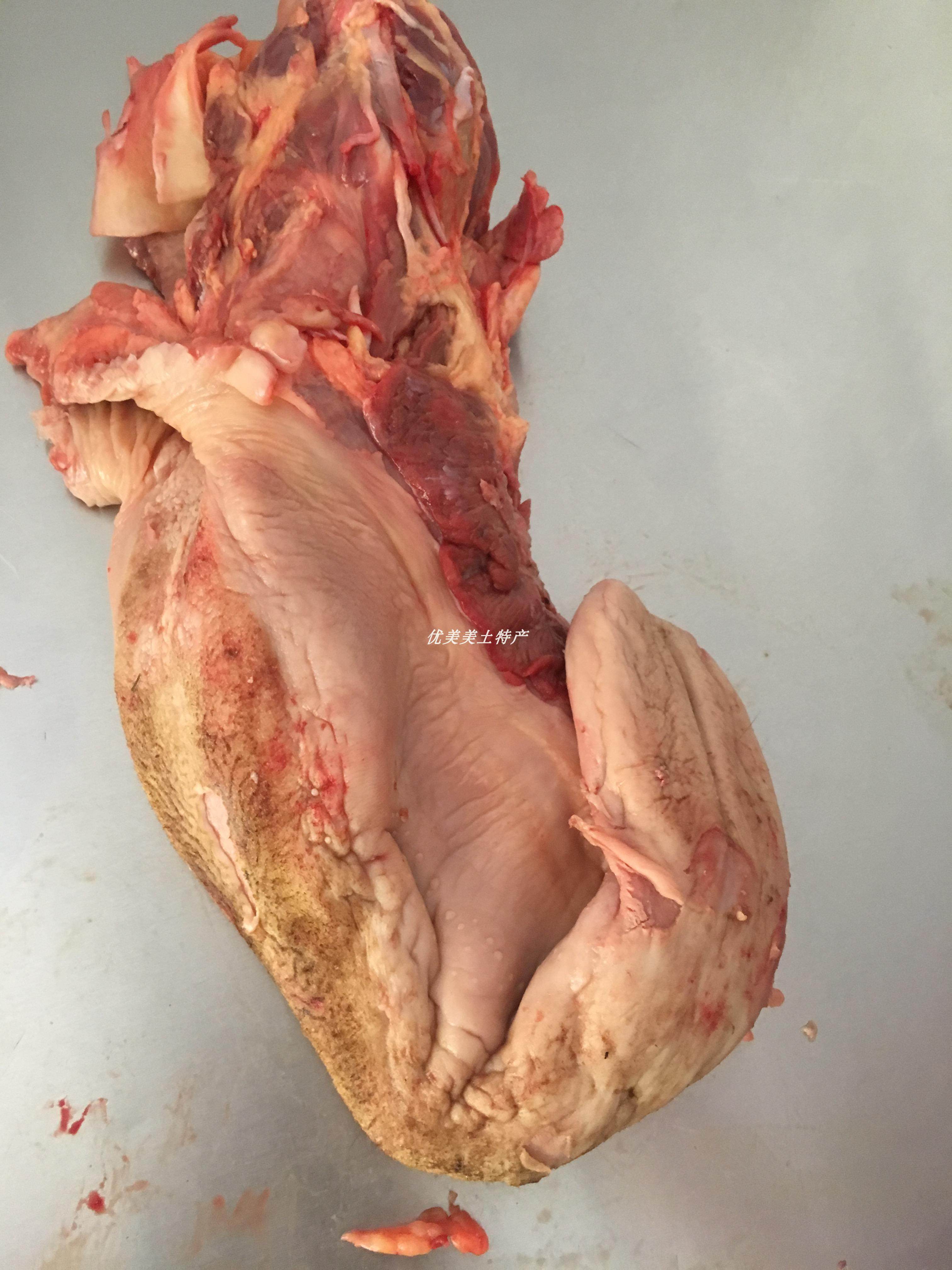 5斤生驴板肠驴杂驴肠子肚子驴大肠驴心肝肺舌头口条正宗新鲜驴肉