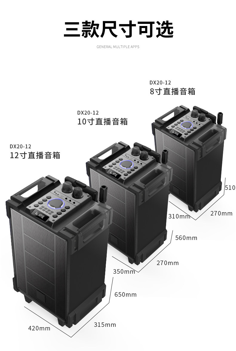 爱浪声卡三分低音直播拉杆一体演出dx20家用拉杆广场音箱