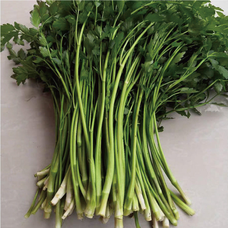 野生水芹菜5斤装新鲜蔬菜新鲜包邮野芹菜当季现摘整箱新鲜农蔬菜