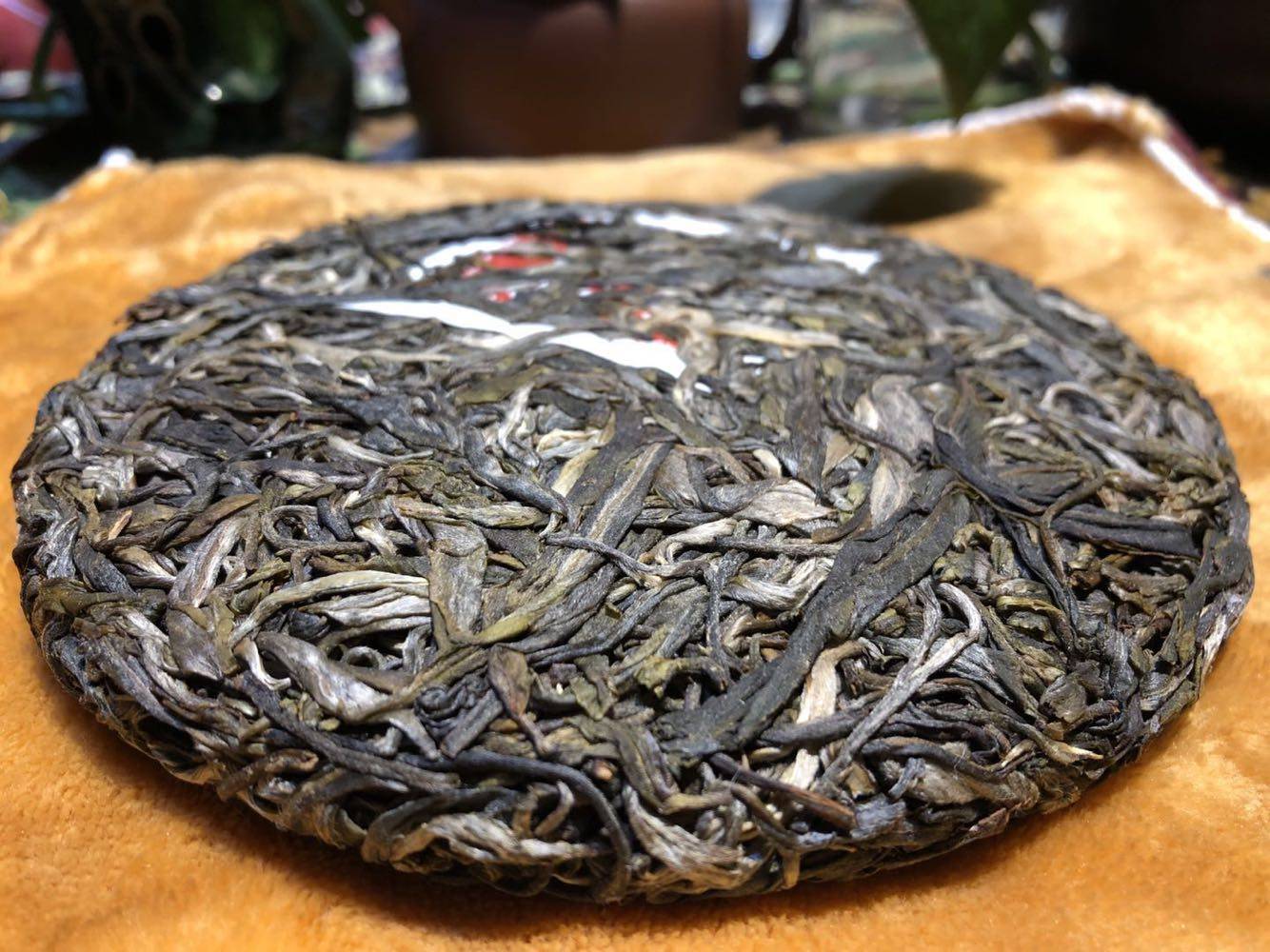 古树2019年班盆老寨头春纯料500年春茶普洱茶茶邦普洱