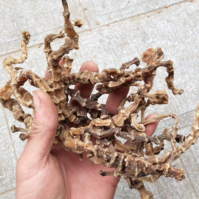 云南虫草中药材地参新鲜干货地龙煲汤泽兰根新货其他药食同源食品