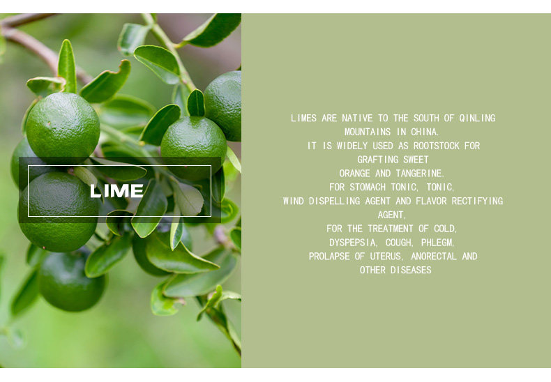 精油酸橙lime单方果味沁人酸甜香木无火香薰香薰香料