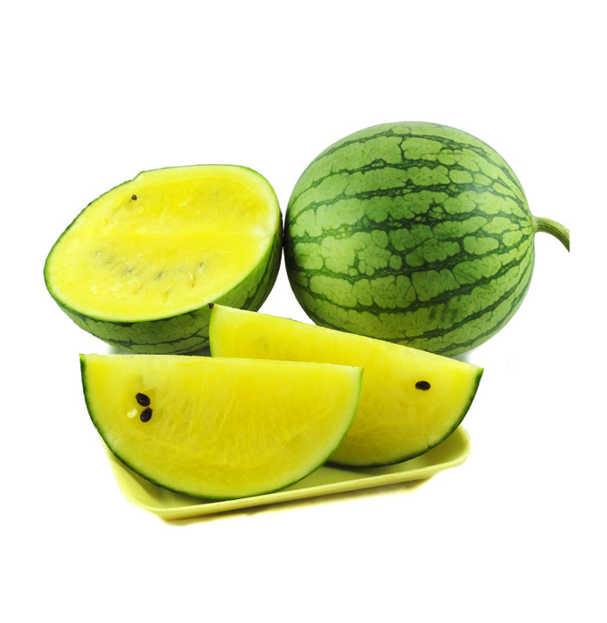 1个约水果孕妇黄心黄新鲜4斤西瓜成都黄瓤小凤西瓜