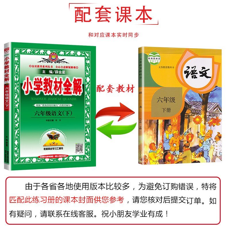 2020春新版 薛金星小学教材全解6六年级下册语文教材全解人教版六年级