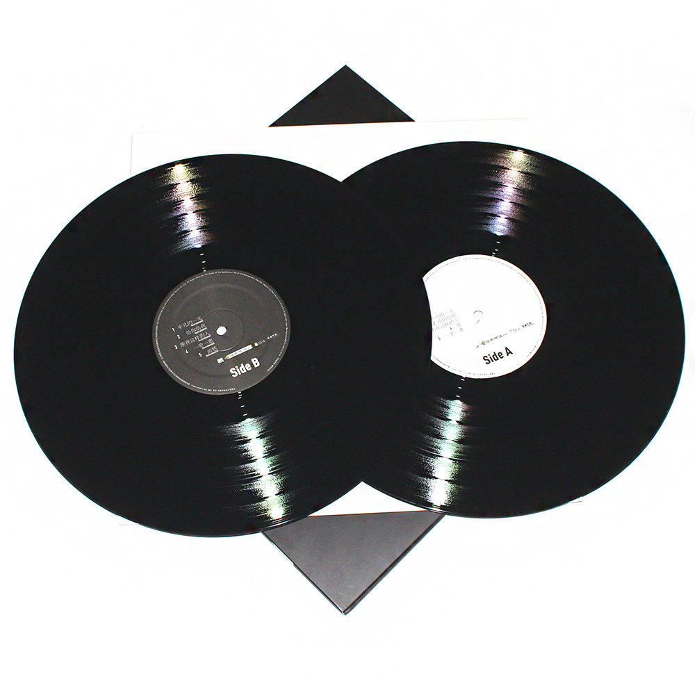 正版lp碟片12寸专用留声机唱片黑胶一天毛不易音乐cd