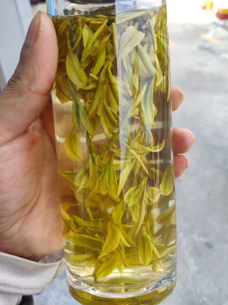 精品白龙井龙井高山头山头浓豆50克龙井茶非西湖