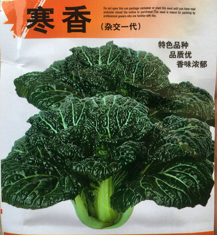 田园阳台蔬菜种子寒香小黑菜黑青菜家庭园艺种子