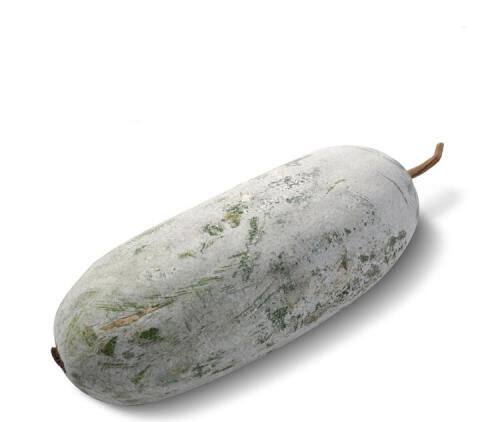 绿美四季蔬莱东瓜迷你蔬菜盆栽阳台瓜苗早熟家庭园艺种子