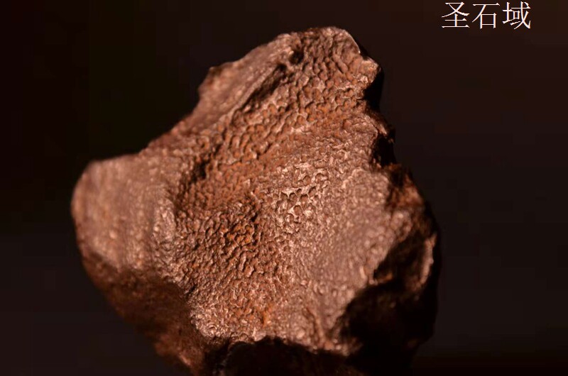 圣石埃及gebelkamil卡米尔陨石蜥蜴小行小行星星陨摆件