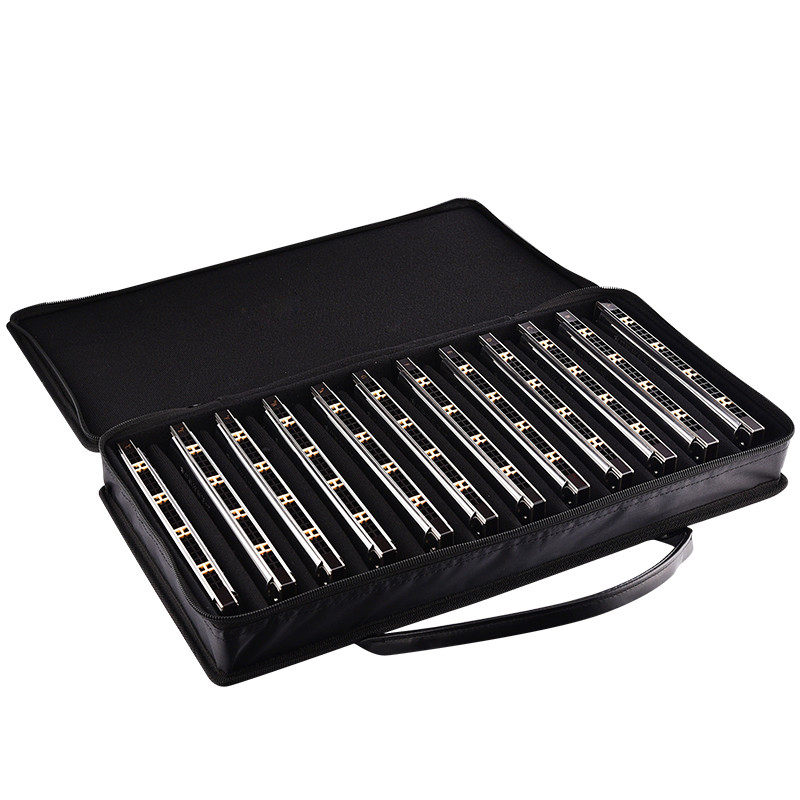 口琴国光高级成人专业24孔复音演奏套装口琴