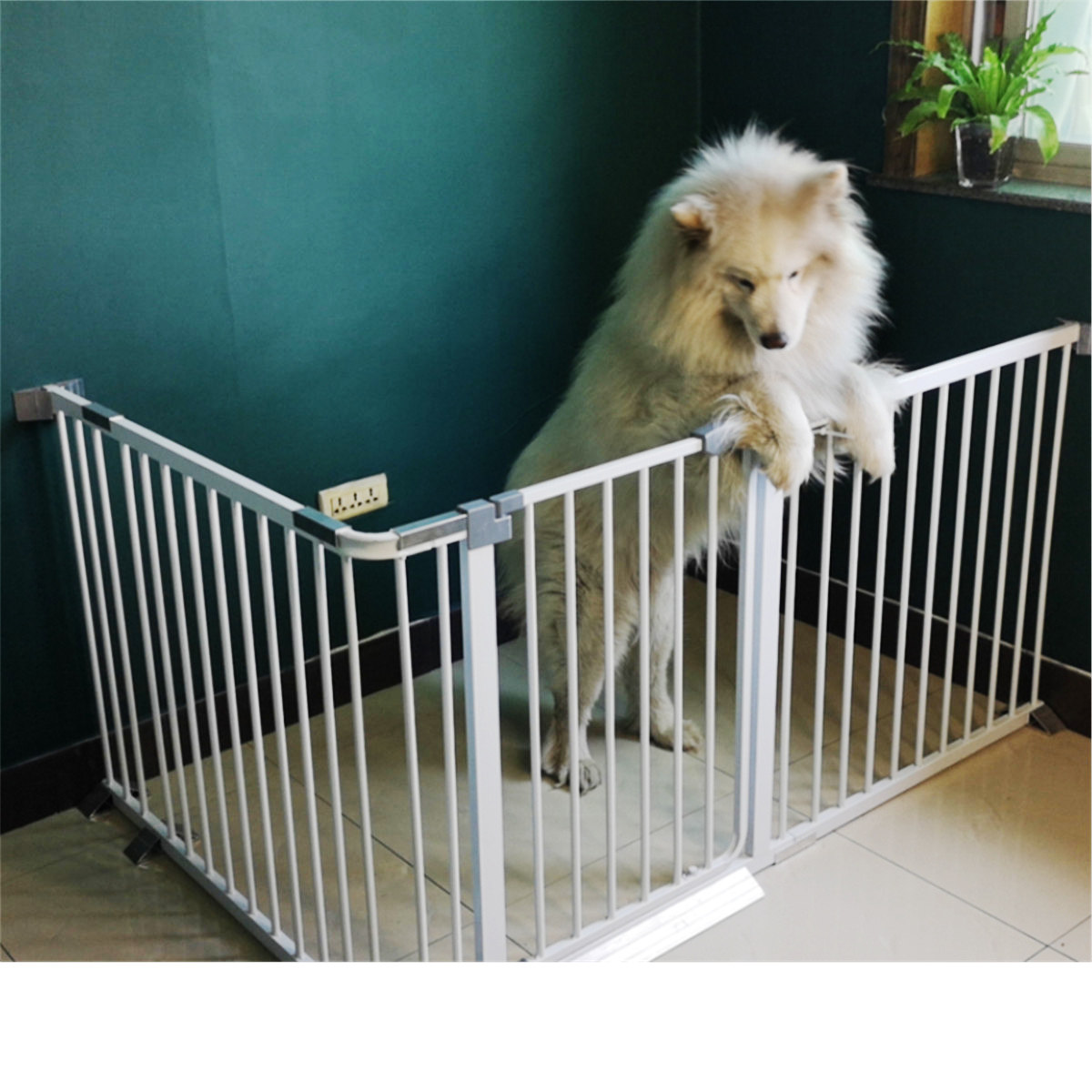 室内大中型寄养宠物栅栏隔离户外打孔围栏狗狗狗笼子