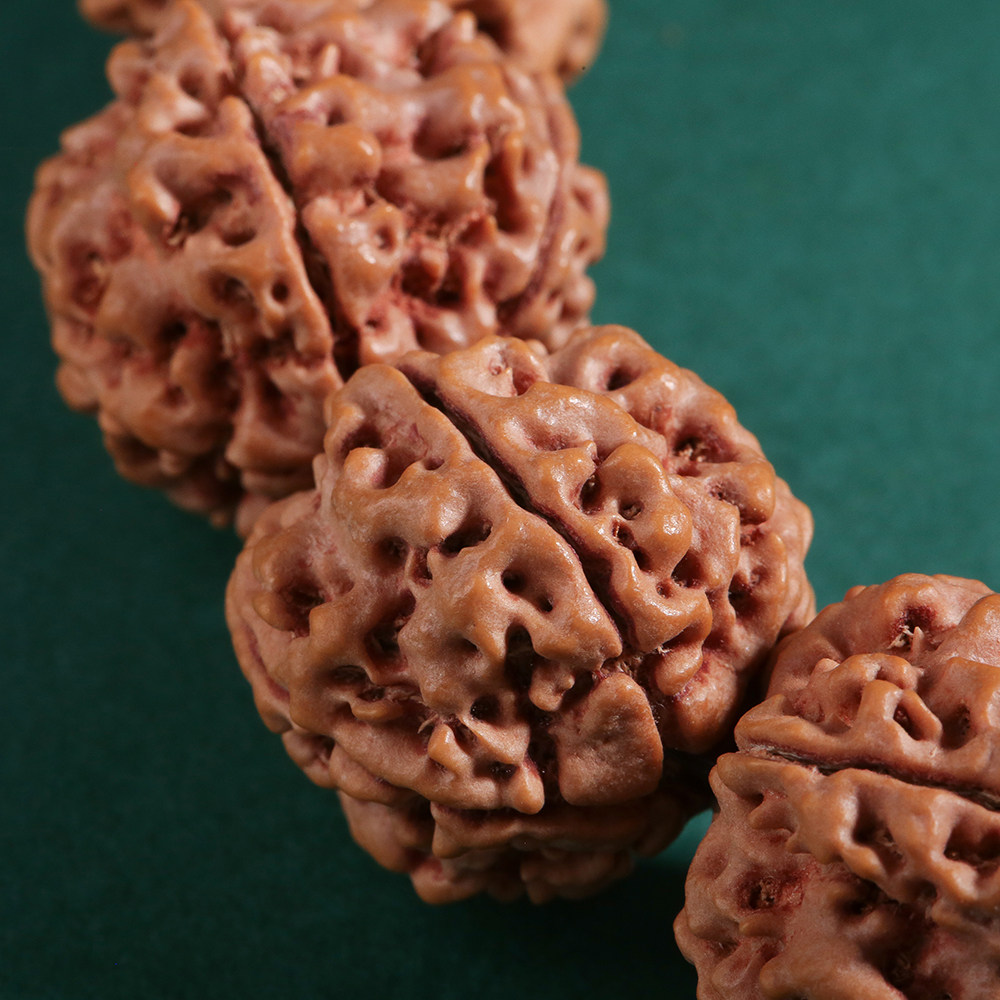 蜂王五星头大金刚21mm左右