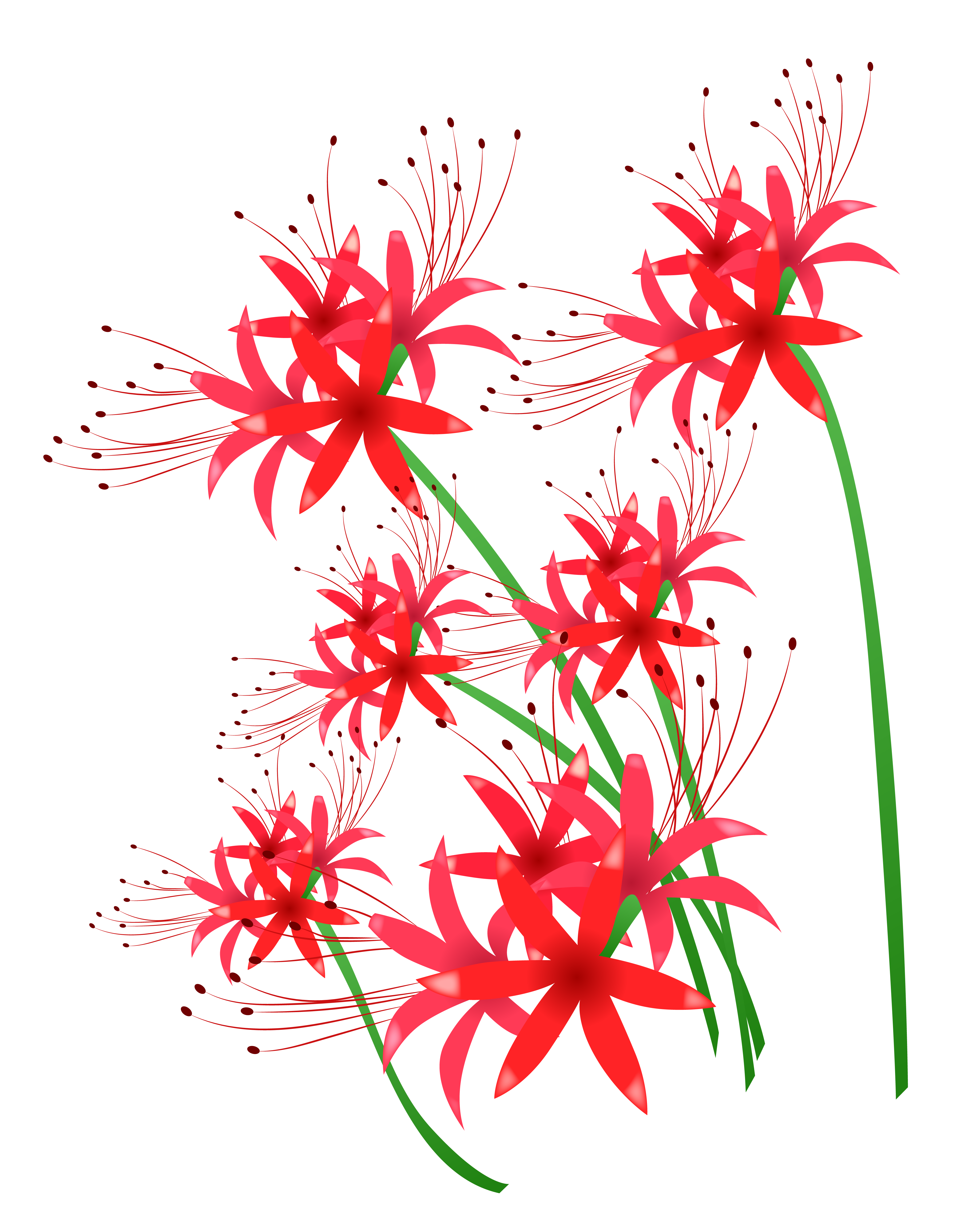 手绘唯美轮回红色彼岸花曼珠沙华花卉海报小说封面店面招牌