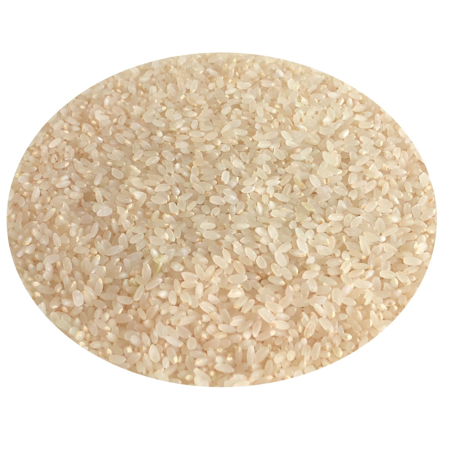 天苗胚芽米 东北优质粳米新鲜留胚米 儿童宝宝煮粥米非糙米2.5kg