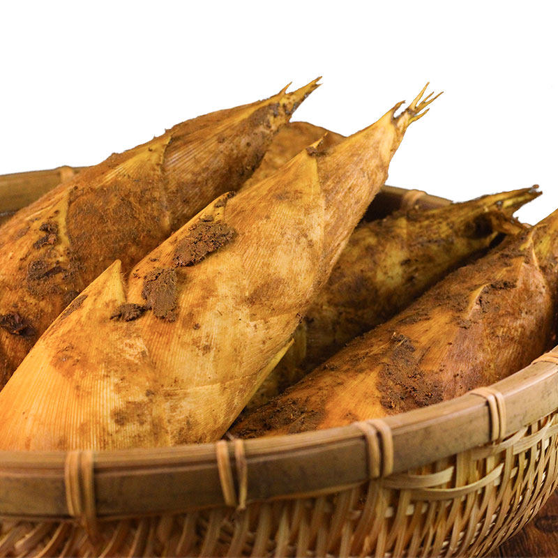 冬笋新鲜5斤现挖野生鲜竹笋大毛笋农家10斤浙江龙游溪口黄泥冬笋