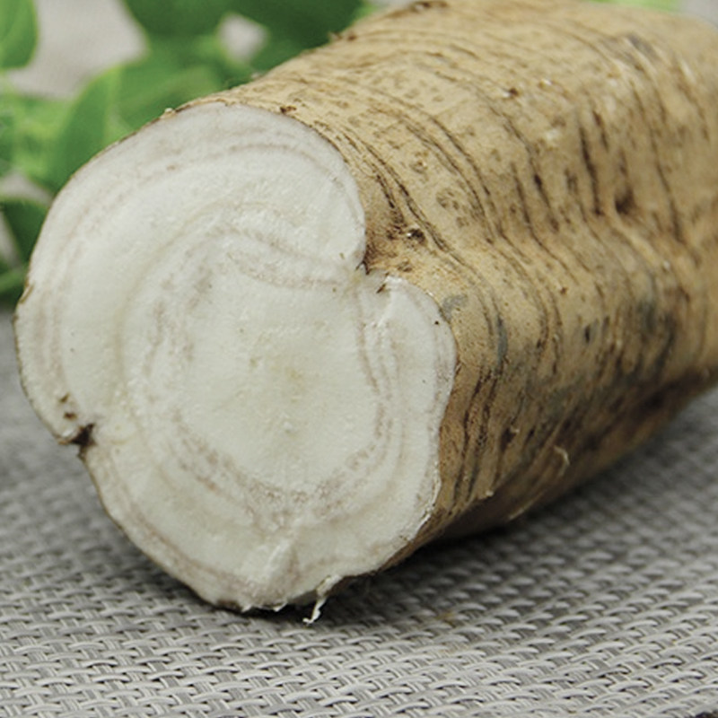 葛根云南高山活葛根5斤包邮食品微甜葛根