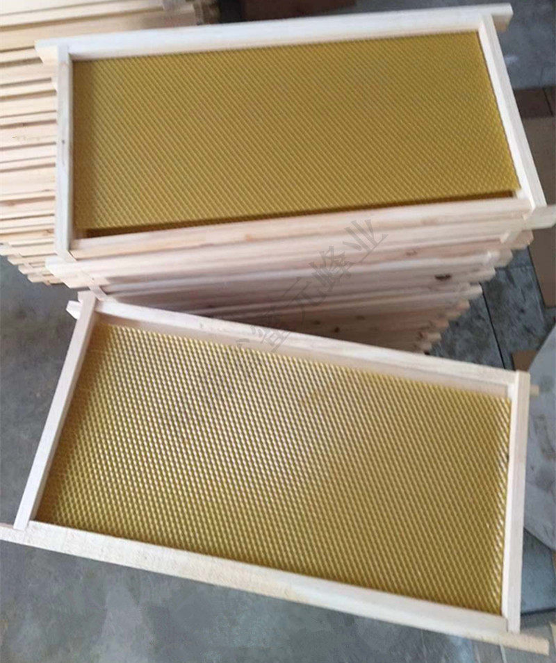 带框巢础杉木巢框中蜂意蜂成品巢础巢脾框蜡巢基养蜂工具蜜蜂巢框