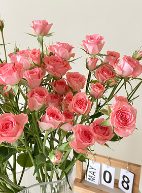 新鲜多头玫瑰高雅爱人蔷薇婚礼泡泡