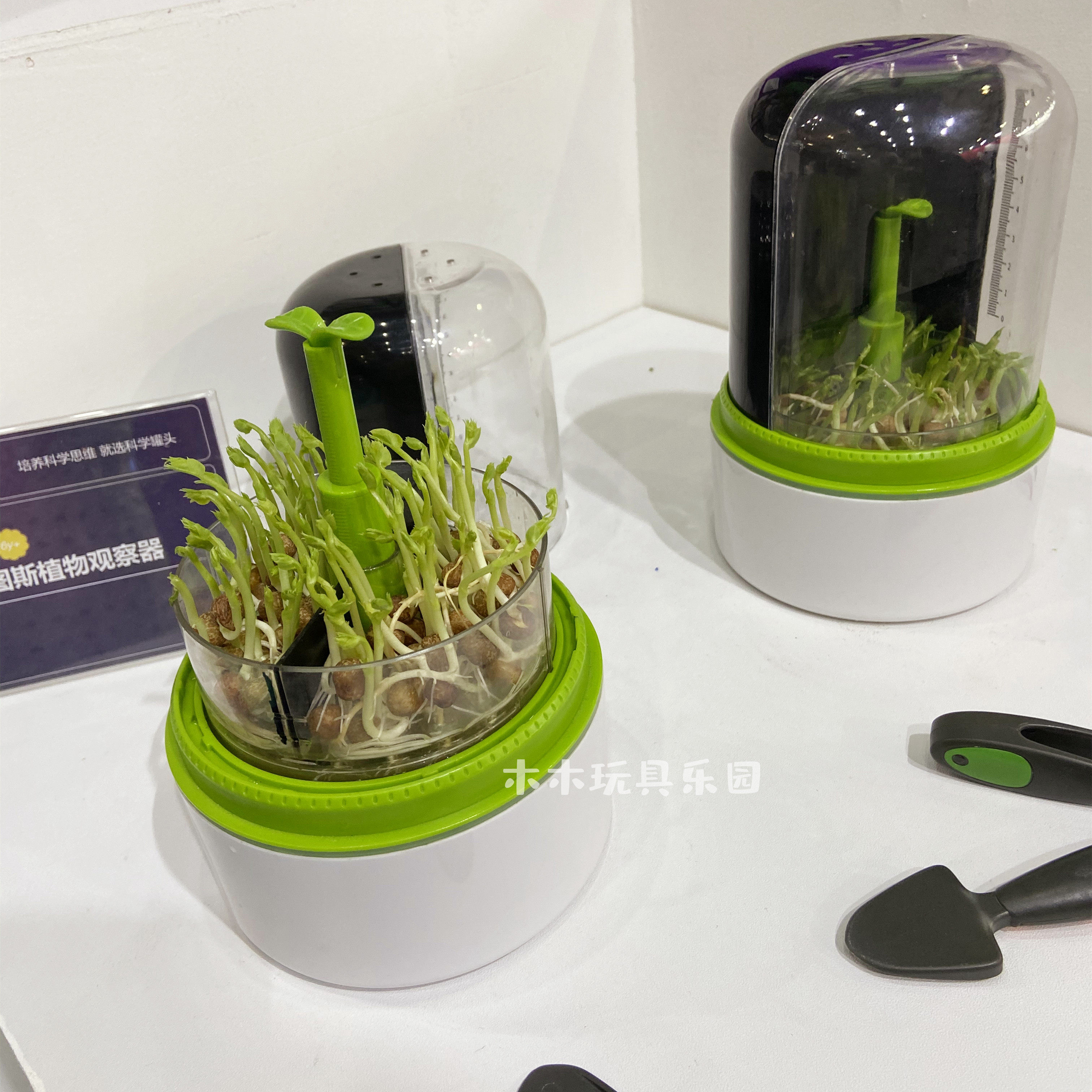 科学实验罐头培育舱幼儿童豆芽种植植物盆栽小学科学实验