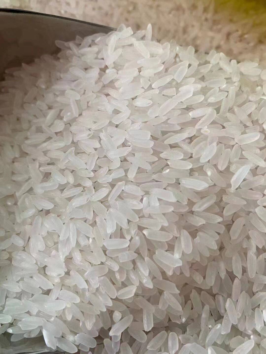 鲶鱼沟长粒香米10斤碱地大米黑龙江肇源大米江水灌溉新米