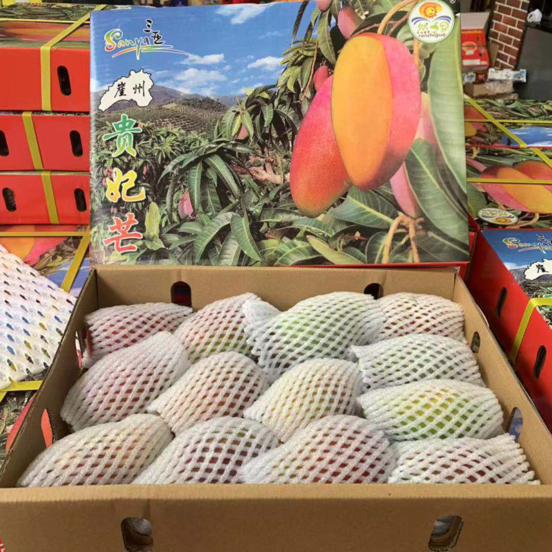 现货盒装礼盒8-16个5斤海南树上水果树水果新鲜芒果