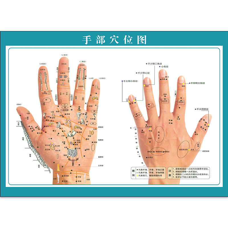 手部穴位位图包邮反射区挂图教学图手经络宣传海报写真