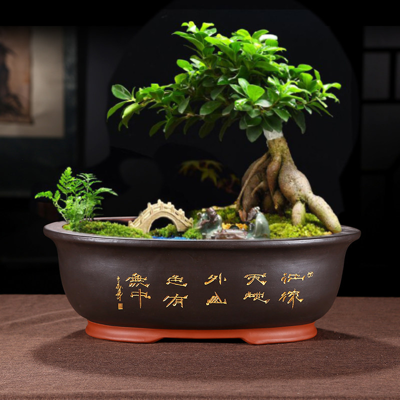 花盆椭圆形陶瓷盆景客厅阳台老桩长方形特大号紫砂花盆