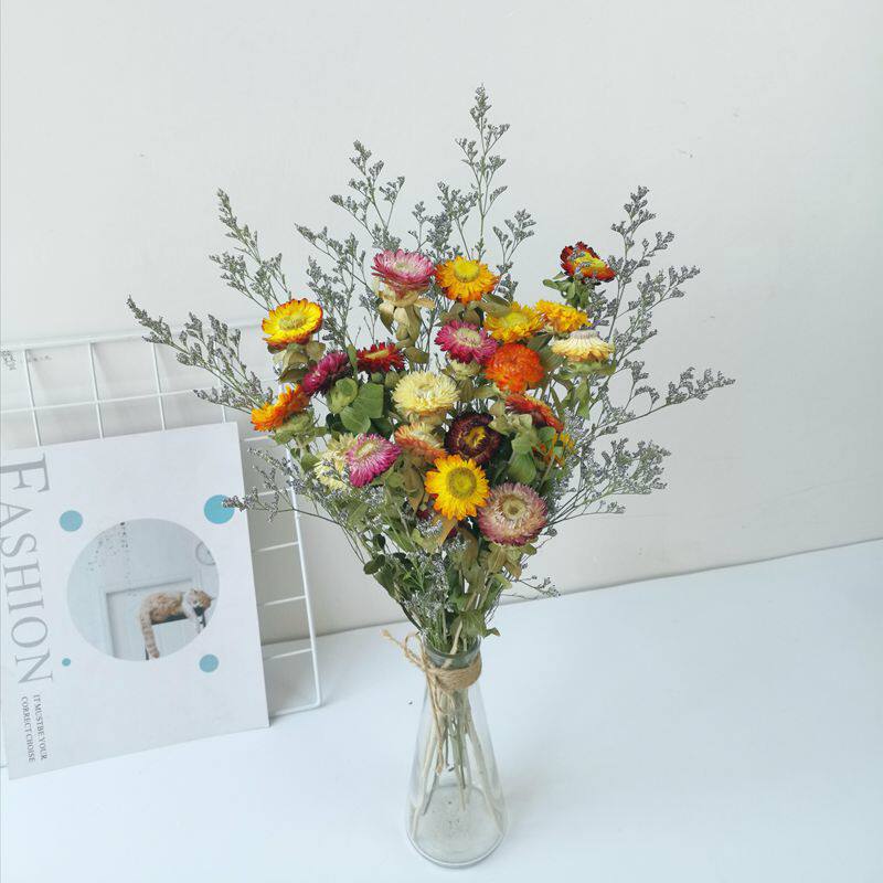 天然风干真花小雏菊干花花束ins网红装饰摆件干花
