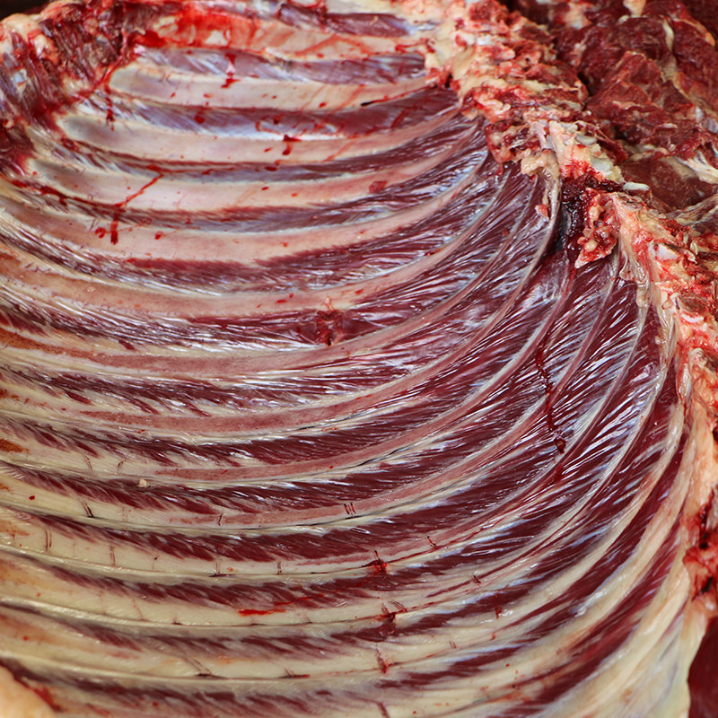 驴排骨新鲜不带皮生散养现杀生驴肉驴肋条带骨头驴排现宰真空包装